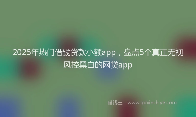 2025年热门借钱贷款小额app，盘点5个真正无视风控黑白的网贷app