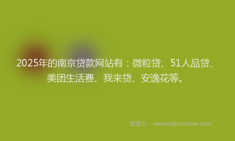 2025年的南京贷款网站有：微粒贷、51人品贷、美团生活费、我来贷、安逸花等。
