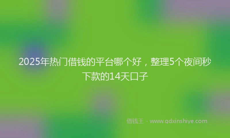 2025年热门借钱的平台哪个好，整理5个夜间秒下款的14天口子