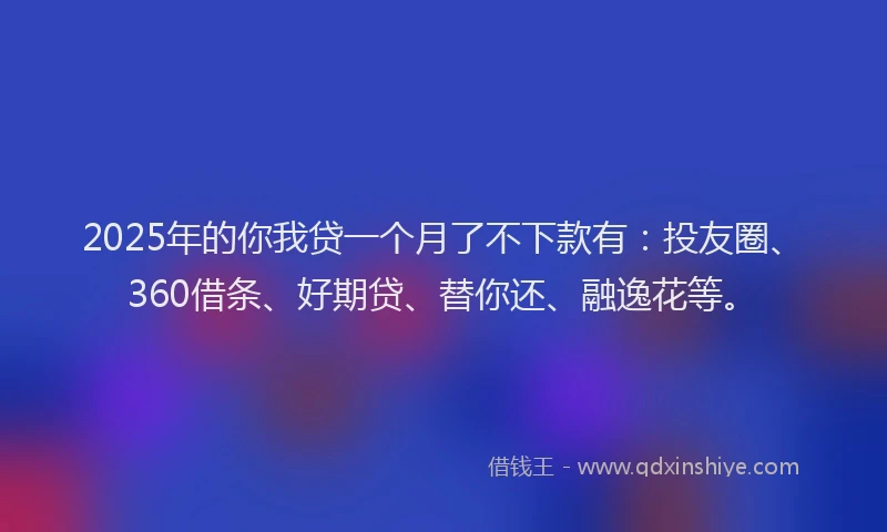 2025年的你我贷一个月了不下款有：投友圈、360借条、好期贷、替你还、融逸花等。