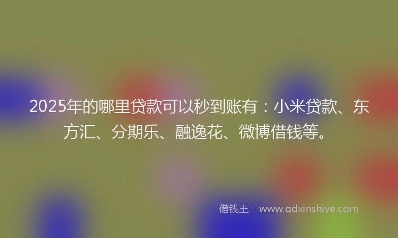 2025年的哪里贷款可以秒到账有：小米贷款、东方汇、分期乐、融逸花、微博借钱等。