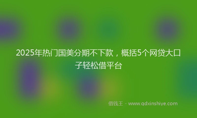 2025年热门国美分期不下款，概括5个网贷大口子轻松借平台