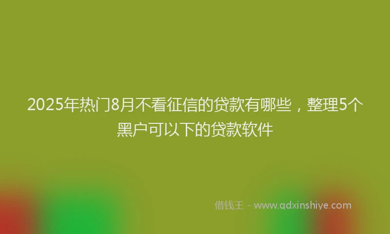 2025年热门8月不看征信的贷款有哪些，整理5个黑户可以下的贷款软件