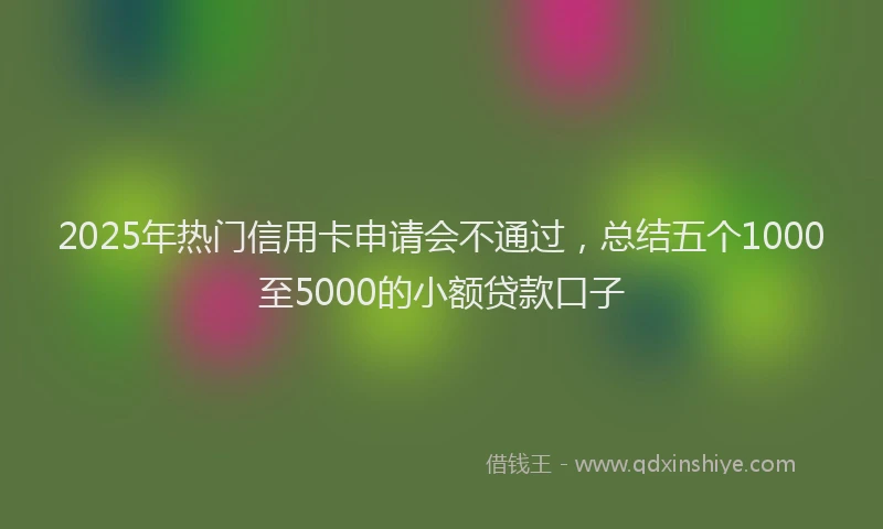 2025年热门信用卡申请会不通过，总结五个1000至5000的小额贷款口子