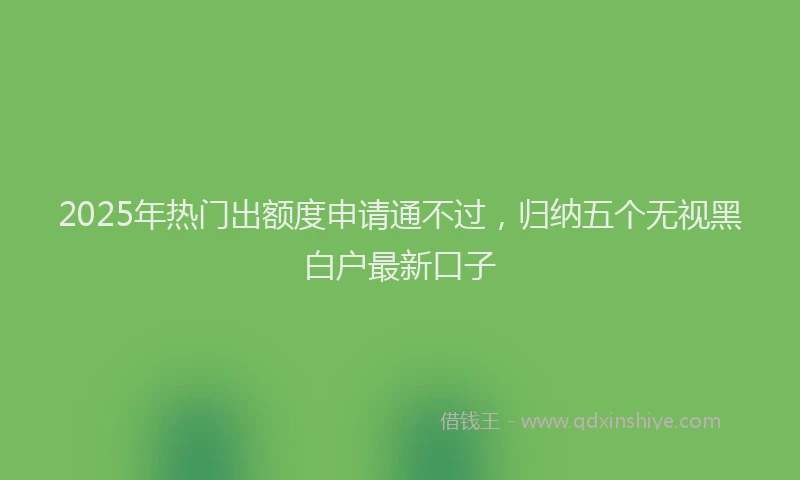 2025年热门出额度申请通不过，归纳五个无视黑白户最新口子