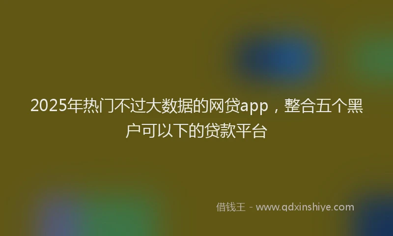 2025年热门不过大数据的网贷app，整合五个黑户可以下的贷款平台