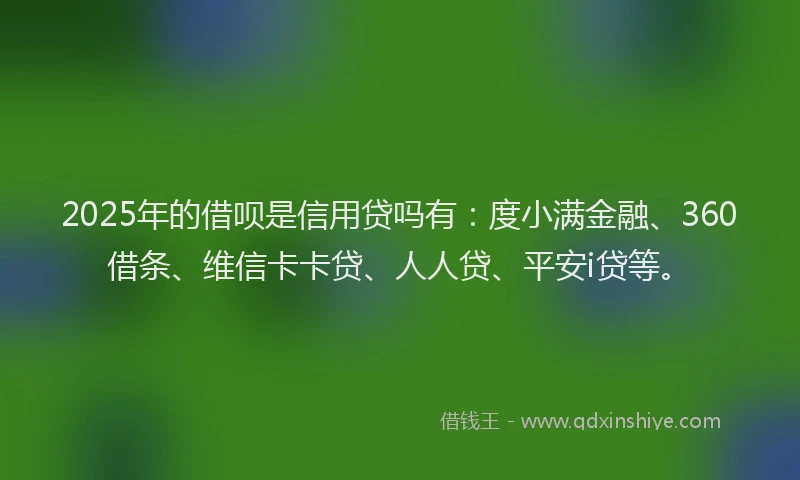 2025年的借呗是信用贷吗有：度小满金融、360借条、维信卡卡贷、人人贷、平安i贷等。