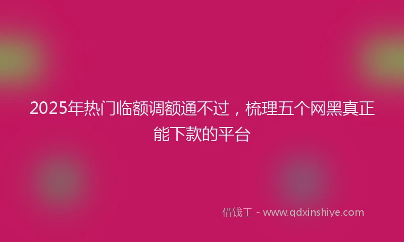 2025年热门临额调额通不过，梳理五个网黑真正能下款的平台