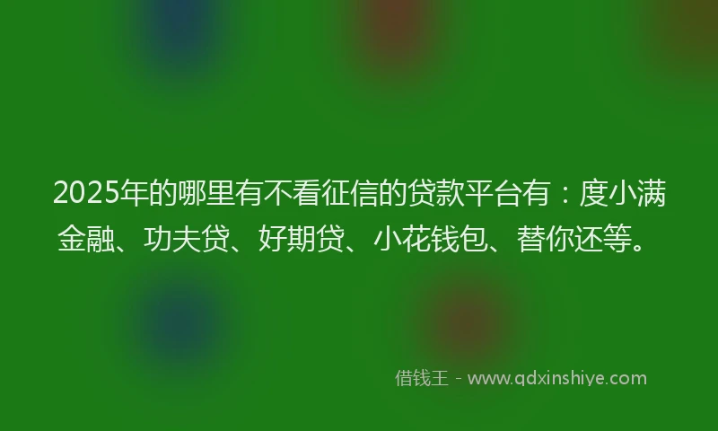2025年的哪里有不看征信的贷款平台有：度小满金融、功夫贷、好期贷、小花钱包、替你还等。