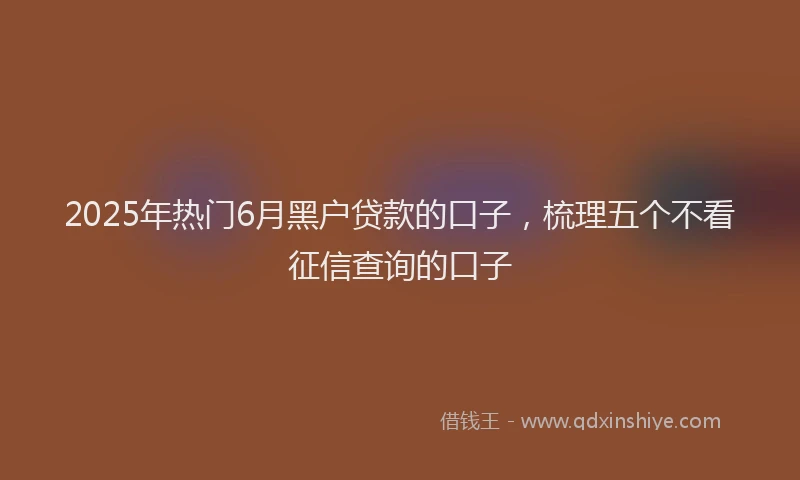 2025年热门6月黑户贷款的口子，梳理五个不看征信查询的口子