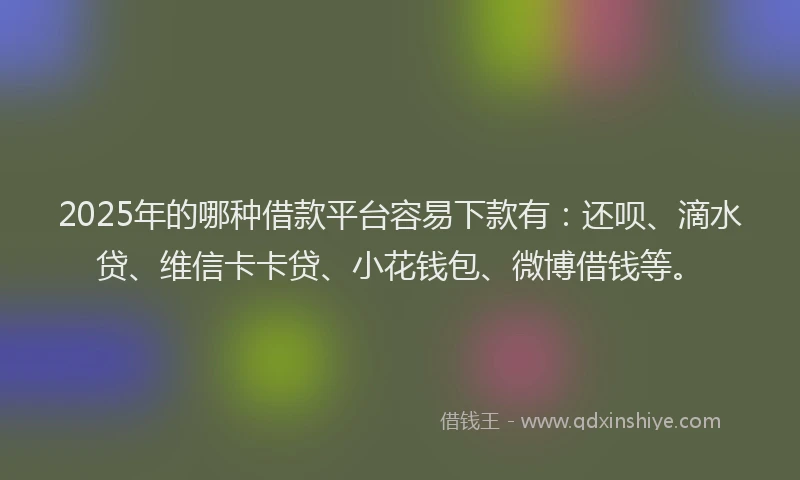 2025年的哪种借款平台容易下款有：还呗、滴水贷、维信卡卡贷、小花钱包、微博借钱等。