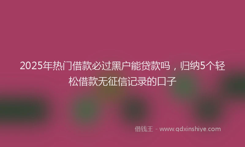 2025年热门借款必过黑户能贷款吗，归纳5个轻松借款无征信记录的口子