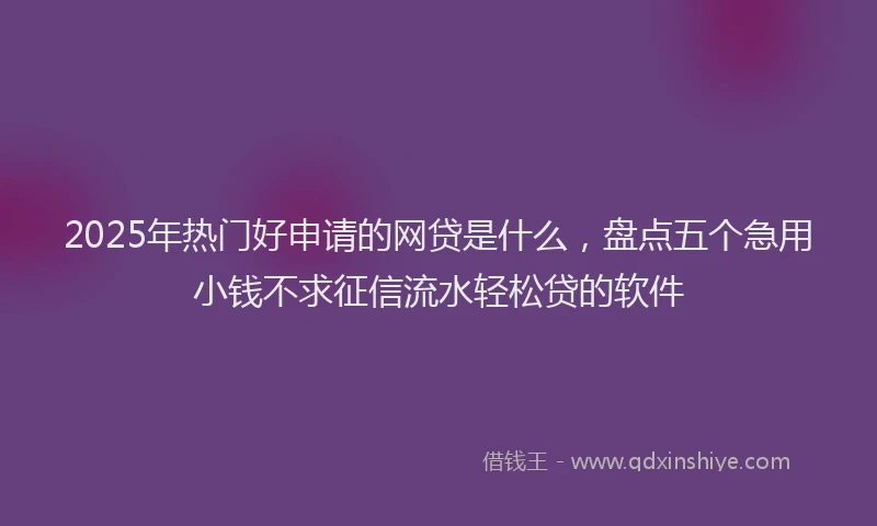 2025年热门好申请的网贷是什么，盘点五个急用小钱不求征信流水轻松贷的软件