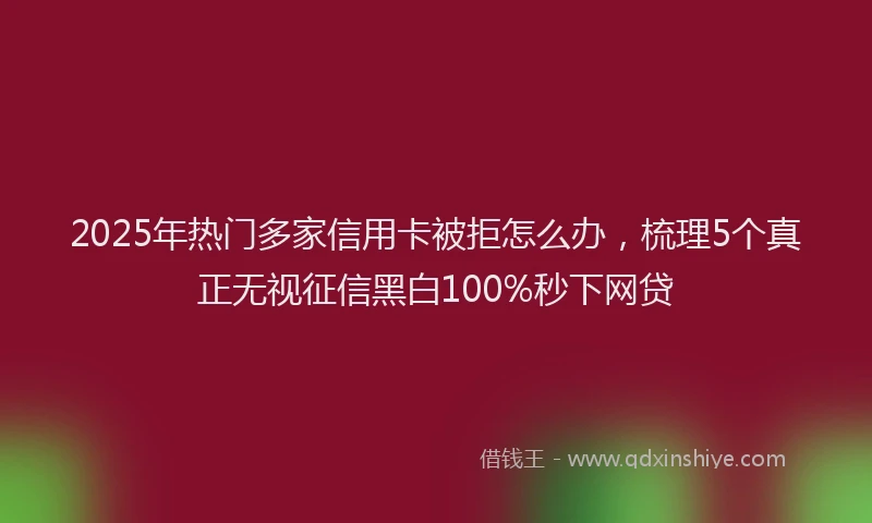 2025年热门多家信用卡被拒怎么办，梳理5个真正无视征信黑白100%秒下网贷