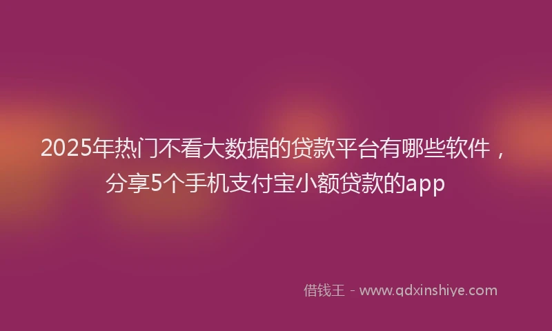 2025年热门不看大数据的贷款平台有哪些软件，分享5个手机支付宝小额贷款的app