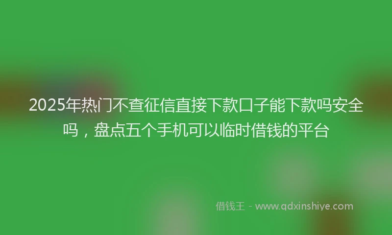 2025年热门不查征信直接下款口子能下款吗安全吗，盘点五个手机可以临时借钱的平台