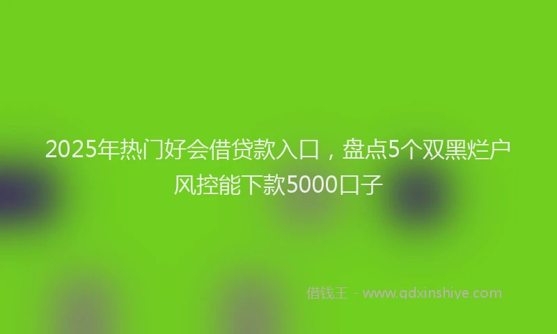 2025年热门好会借贷款入口，盘点5个双黑烂户风控能下款5000口子
