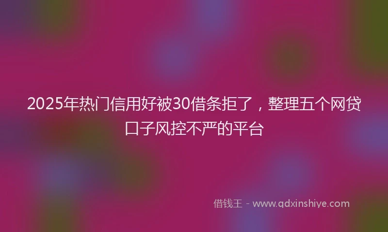 2025年热门信用好被30借条拒了，整理五个网贷口子风控不严的平台