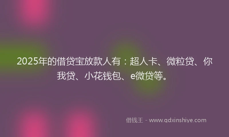 2025年的借贷宝放款人有：超人卡、微粒贷、你我贷、小花钱包、e微贷等。