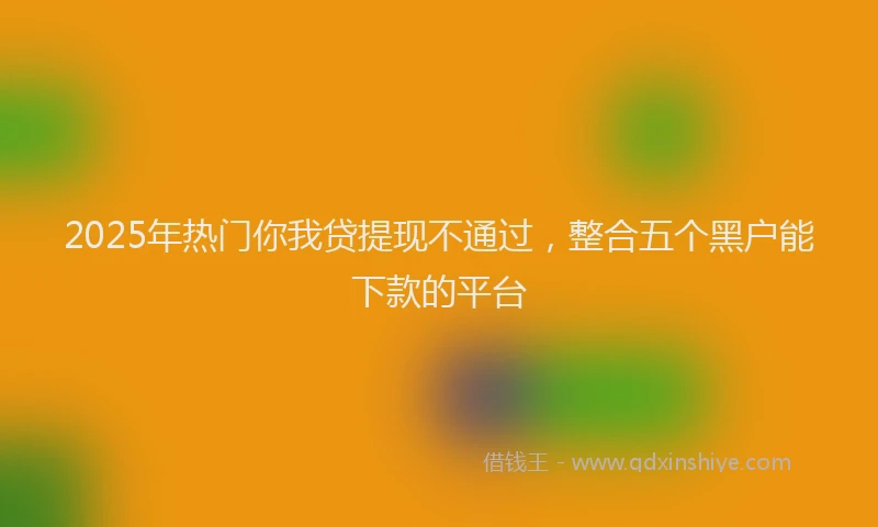 2025年热门你我贷提现不通过，整合五个黑户能下款的平台
