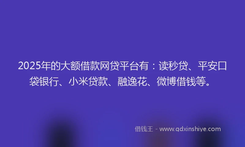 2025年的大额借款网贷平台有：读秒贷、平安口袋银行、小米贷款、融逸花、微博借钱等。