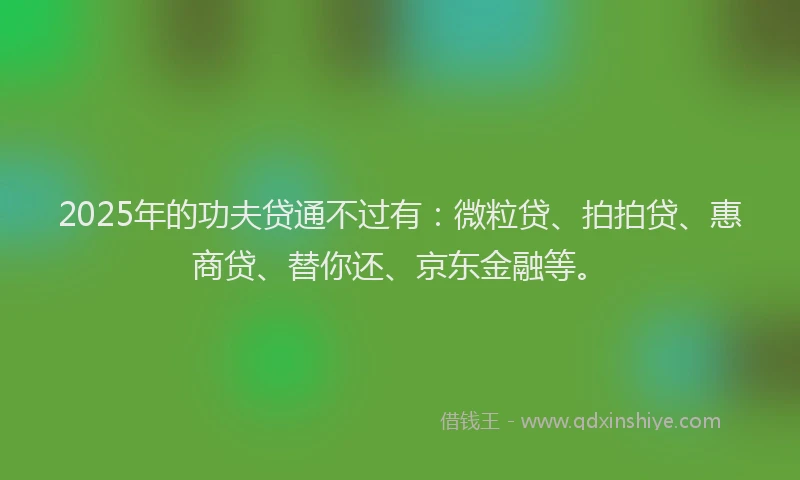 2025年的功夫贷通不过有：微粒贷、拍拍贷、惠商贷、替你还、京东金融等。