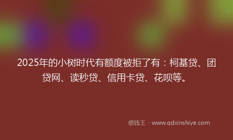 2025年的小树时代有额度被拒了有：柯基贷、团贷网、读秒贷、信用卡贷、花呗等。