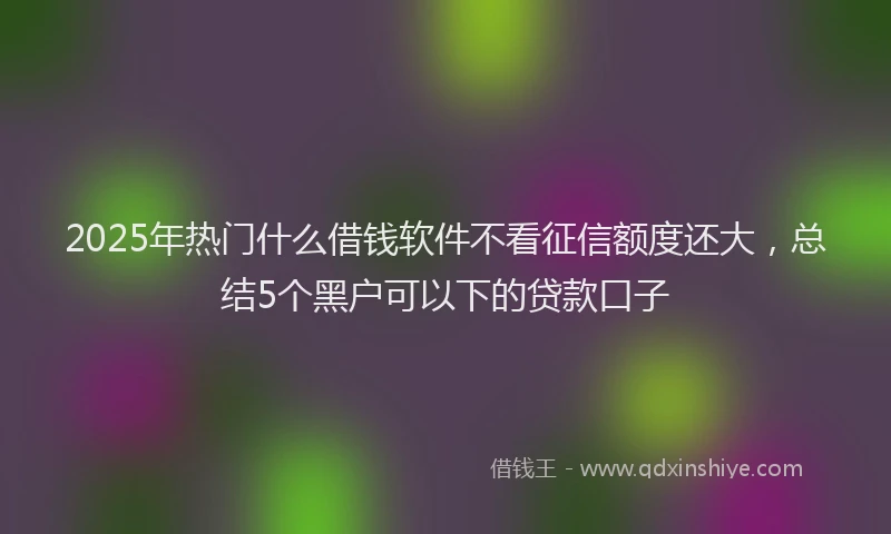 2025年热门什么借钱软件不看征信额度还大，总结5个黑户可以下的贷款口子