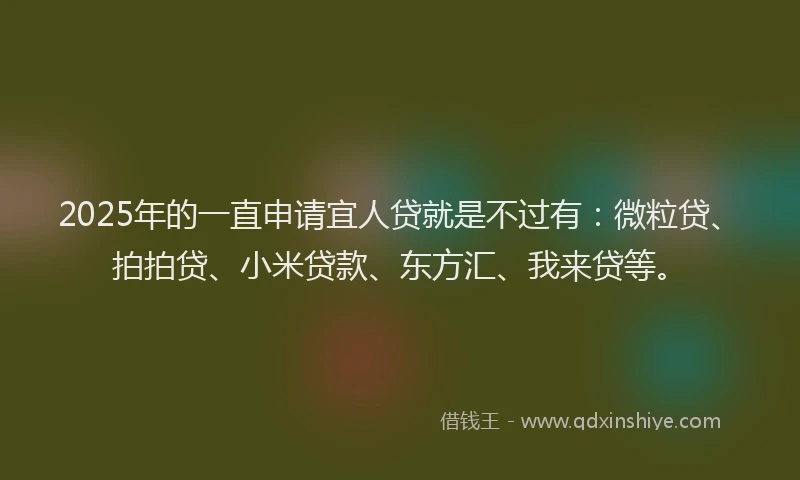 2025年的一直申请宜人贷就是不过有：微粒贷、拍拍贷、小米贷款、东方汇、我来贷等。