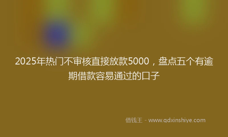 2025年热门不审核直接放款5000，盘点五个有逾期借款容易通过的口子