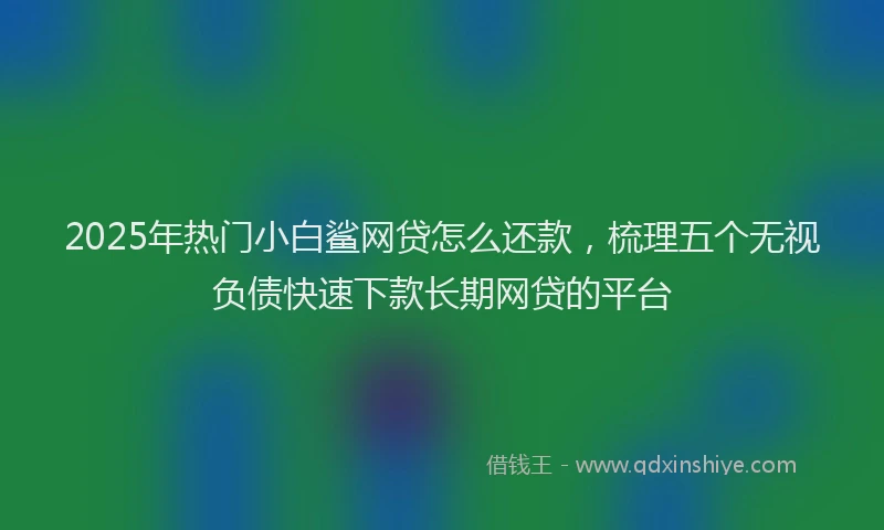 2025年热门小白鲨网贷怎么还款，梳理五个无视负债快速下款长期网贷的平台