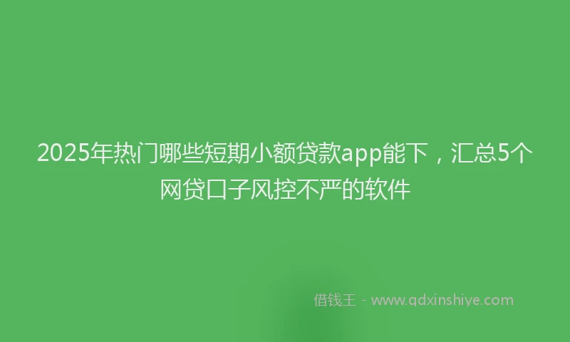 2025年热门哪些短期小额贷款app能下，汇总5个网贷口子风控不严的软件
