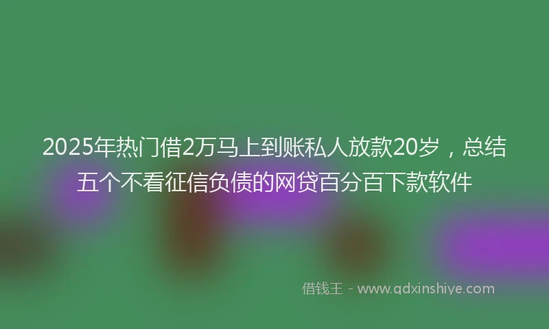 2025年热门借2万马上到账私人放款20岁，总结五个不看征信负债的网贷百分百下款软件
