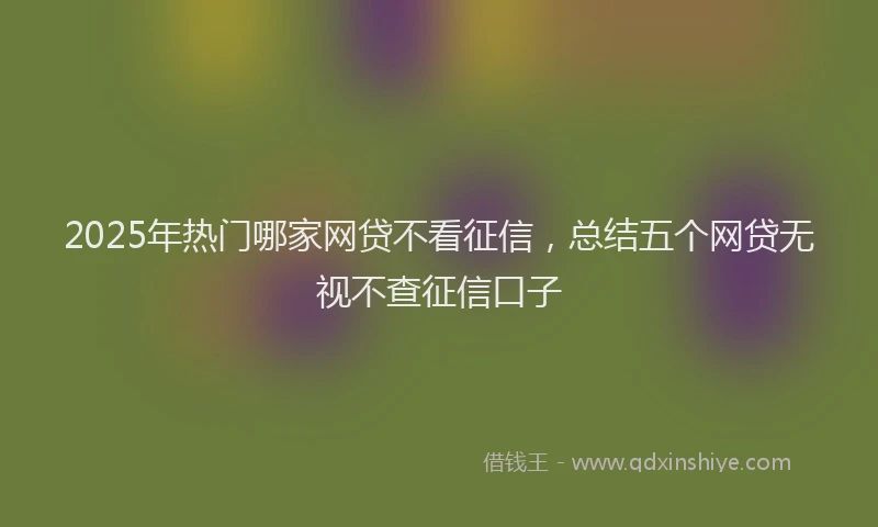 2025年热门哪家网贷不看征信，总结五个网贷无视不查征信口子