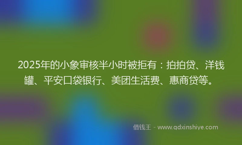 2025年的小象审核半小时被拒有：拍拍贷、洋钱罐、平安口袋银行、美团生活费、惠商贷等。