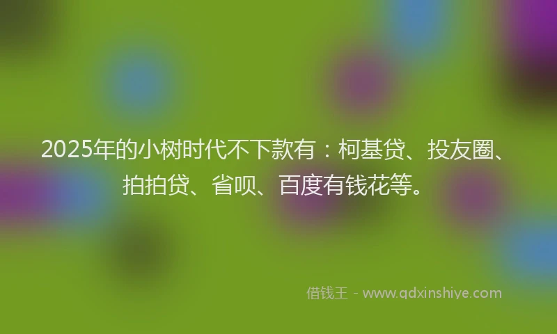 2025年的小树时代不下款有：柯基贷、投友圈、拍拍贷、省呗、百度有钱花等。