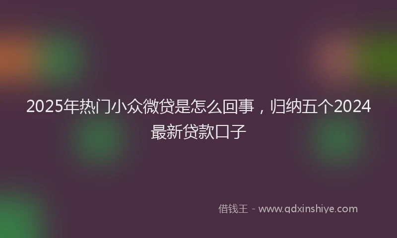 2025年热门小众微贷是怎么回事，归纳五个2024最新贷款口子