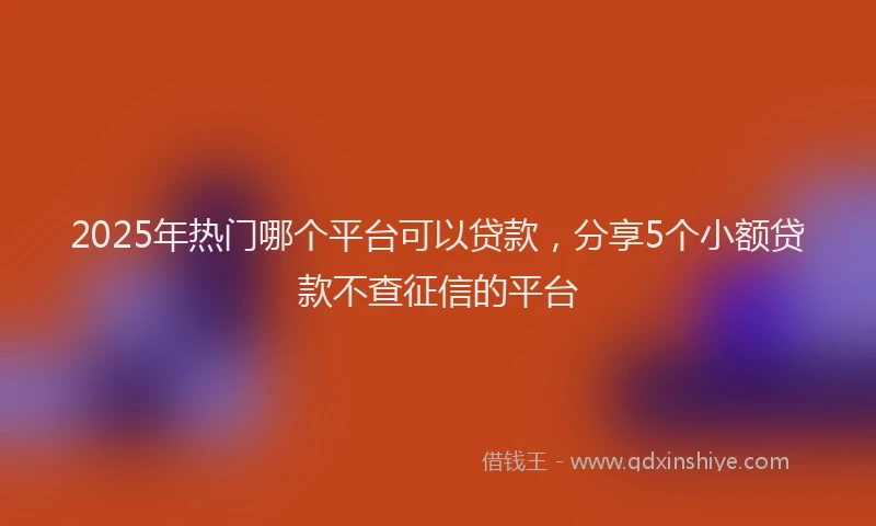 2025年热门哪个平台可以贷款，分享5个小额贷款不查征信的平台