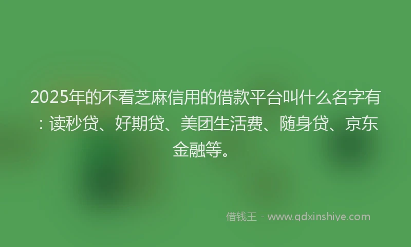 2025年的不看芝麻信用的借款平台叫什么名字有：读秒贷、好期贷、美团生活费、随身贷、京东金融等。