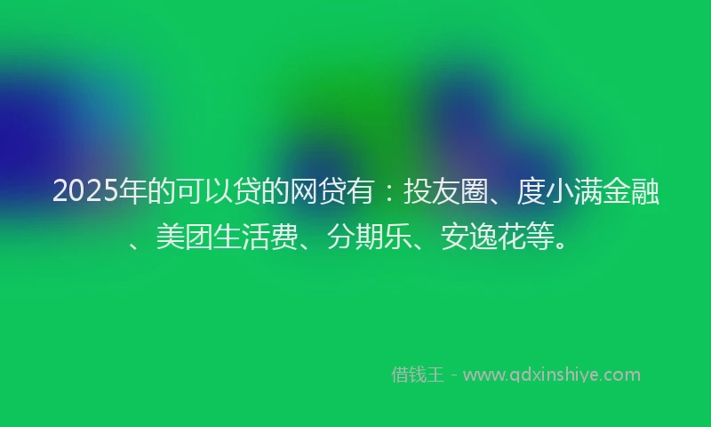 2025年的可以贷的网贷有：投友圈、度小满金融、美团生活费、分期乐、安逸花等。