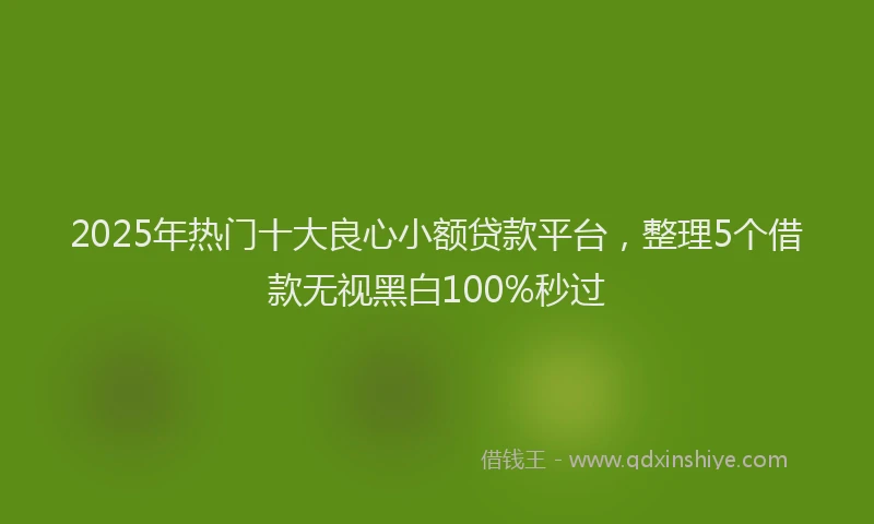 2025年热门十大良心小额贷款平台，整理5个借款无视黑白100%秒过