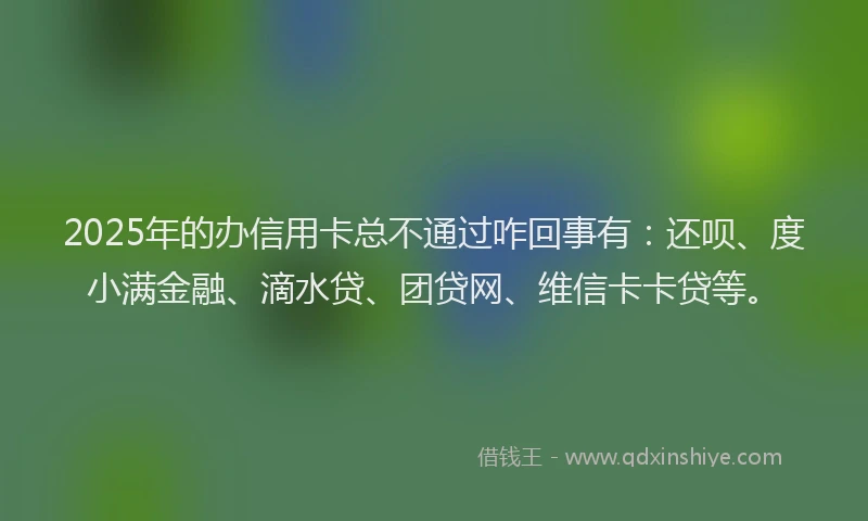 2025年的办信用卡总不通过咋回事有：还呗、度小满金融、滴水贷、团贷网、维信卡卡贷等。