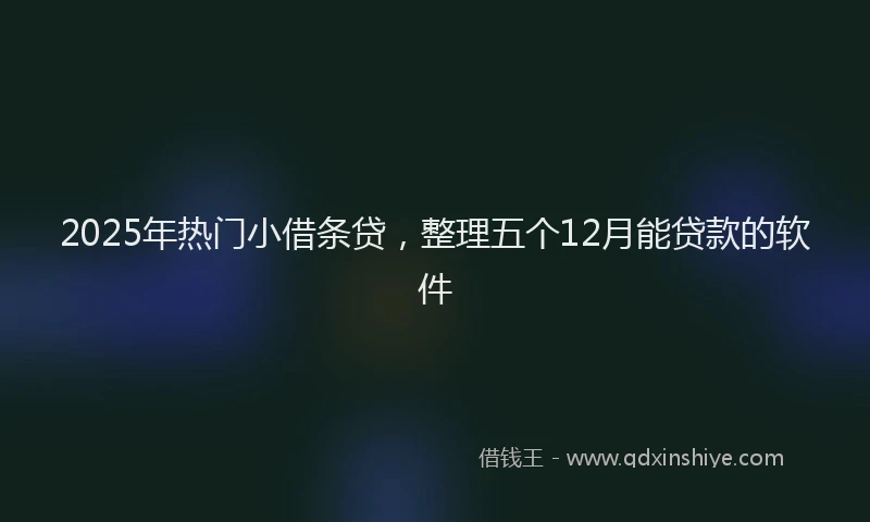 2025年热门小借条贷，整理五个12月能贷款的软件
