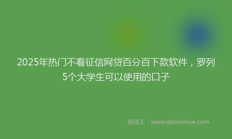 2025年热门不看征信网贷百分百下款软件，罗列5个大学生可以使用的口子