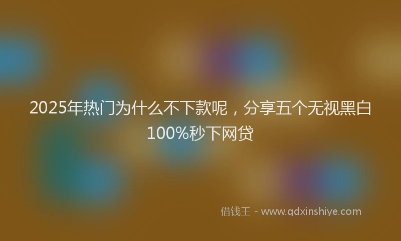 2025年热门为什么不下款呢，分享五个无视黑白100%秒下网贷