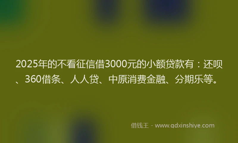 2025年的不看征信借3000元的小额贷款有：还呗、360借条、人人贷、中原消费金融、分期乐等。