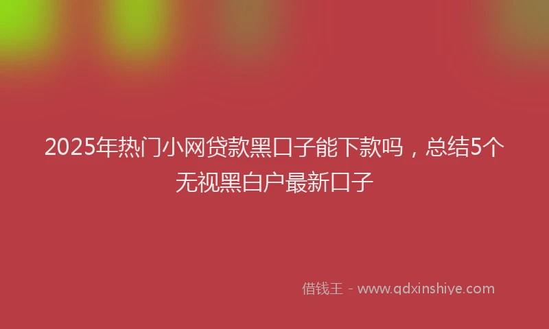 2025年热门小网贷款黑口子能下款吗，总结5个无视黑白户最新口子