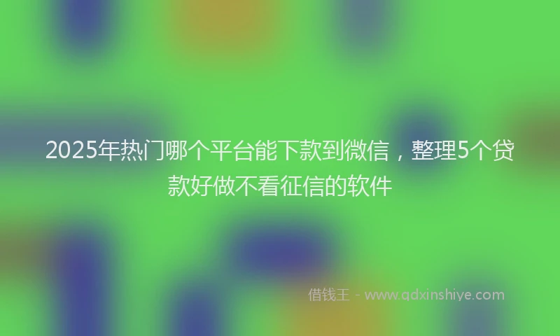 2025年热门哪个平台能下款到微信，整理5个贷款好做不看征信的软件