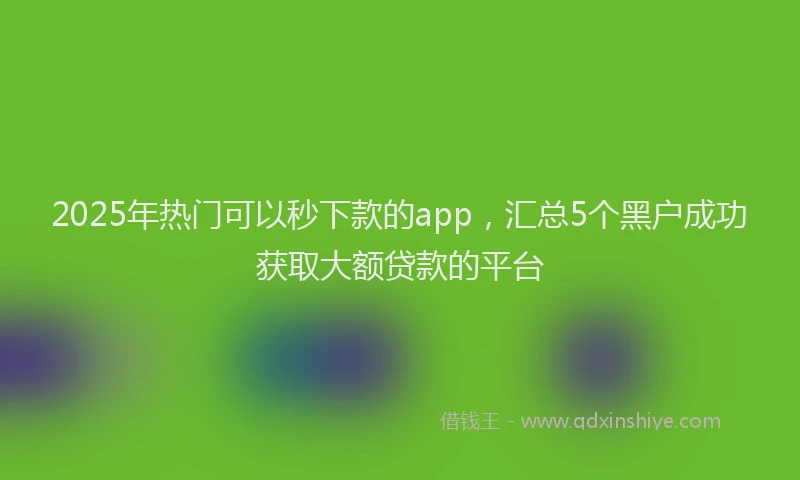 2025年热门可以秒下款的app，汇总5个黑户成功获取大额贷款的平台