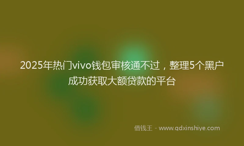 2025年热门vivo钱包审核通不过，整理5个黑户成功获取大额贷款的平台